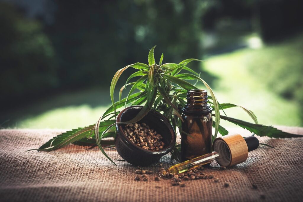 Know The Most Pleasing Benefits Of CBD For Pets