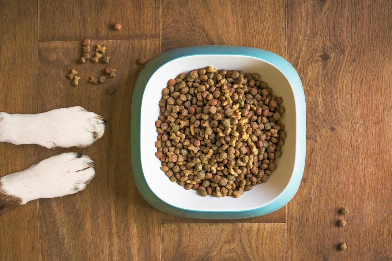 how to make littlest pet shop food