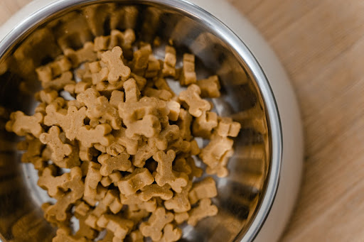 Decoding Pet Food Labels: A Comprehensive Guide for Pet Owners