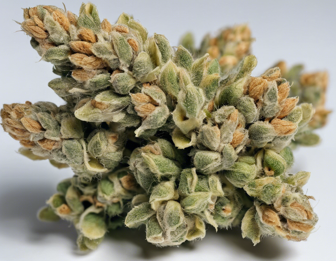 Cereal Milk Weed: A Tasty Cannabis Strain
